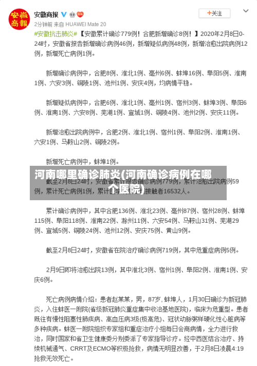 河南哪里确诊肺炎(河南确诊病例在哪个医院)-第2张图片