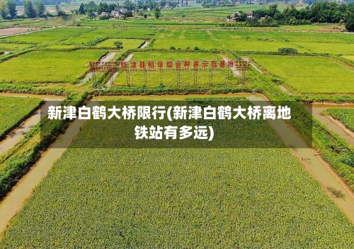 新津白鹤大桥限行(新津白鹤大桥离地铁站有多远)-第1张图片